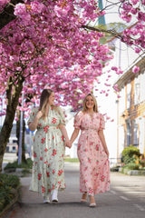 Leona Dress - Spring Blush